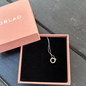 Halsband Edblad - Säljer ett silvrigt halsband från Edblad som är helt nytt, säljs pga att jag var för sen med att returnera det 💕köpt för 350 kr, pris går att diskutera!!!