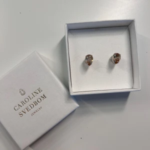 Helt nya Caroline svedbom örhängen  - Helt nya, aldrig använda. 💕