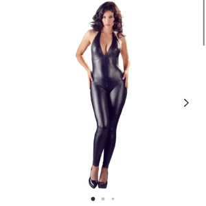 Catsuit - Catsuit från sinful, dragkedja som går över skrevet, sexig. Använd en gång på halloween