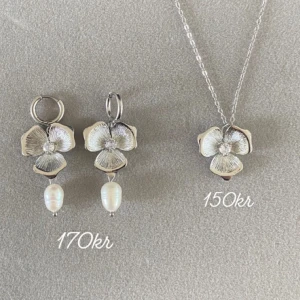 Örhängen halsband  - Frakt 18kr❤️