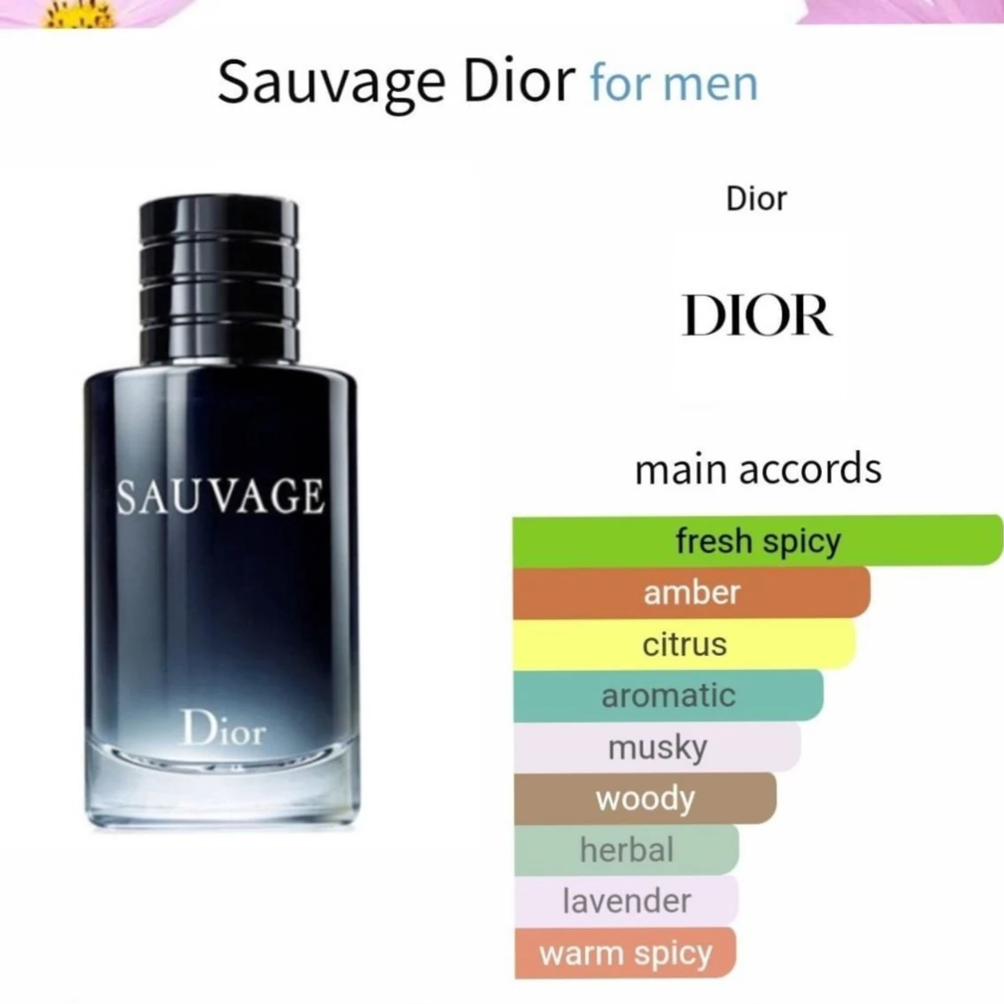 Dior Sauvage 100ml - 91