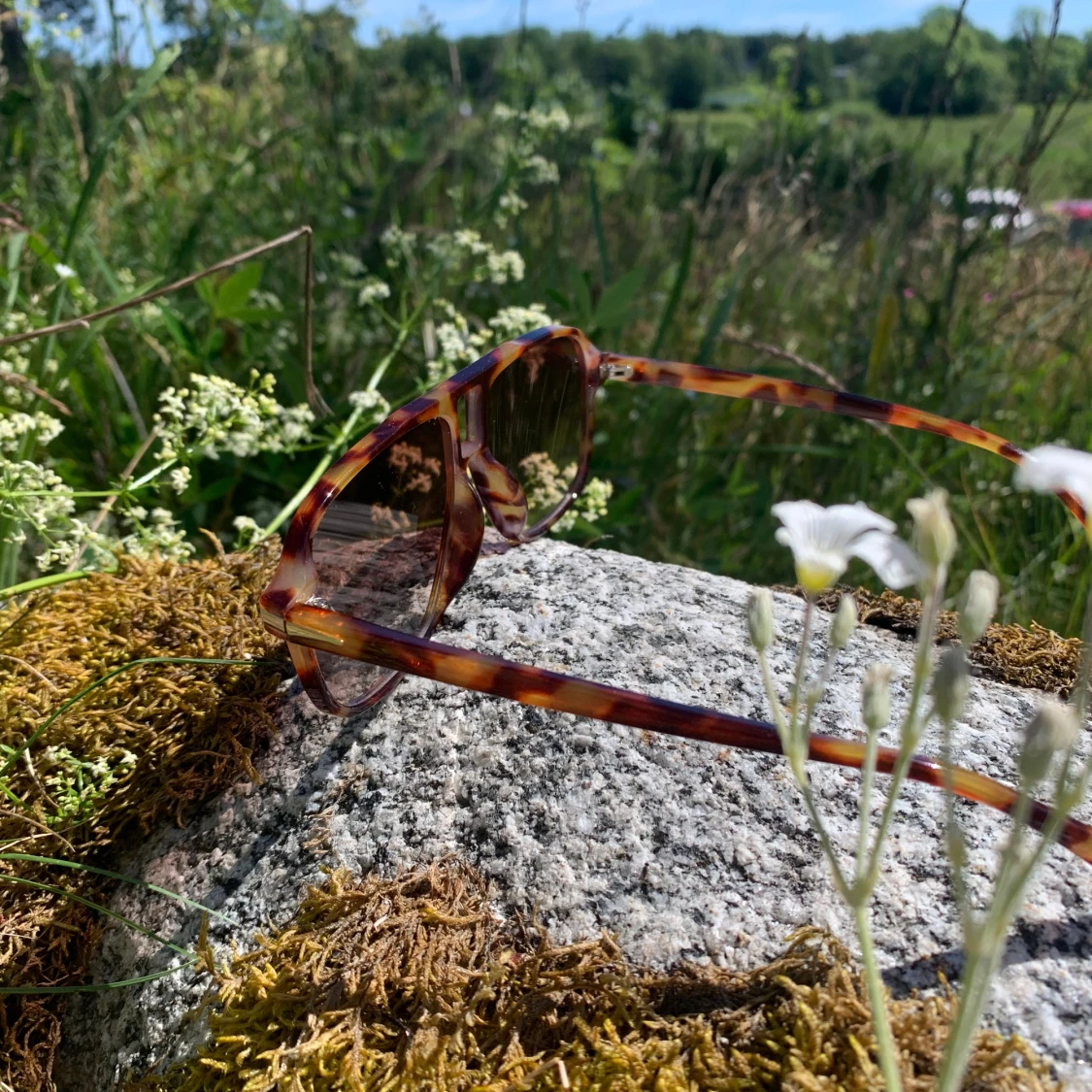 Grisch glasögon  - 93