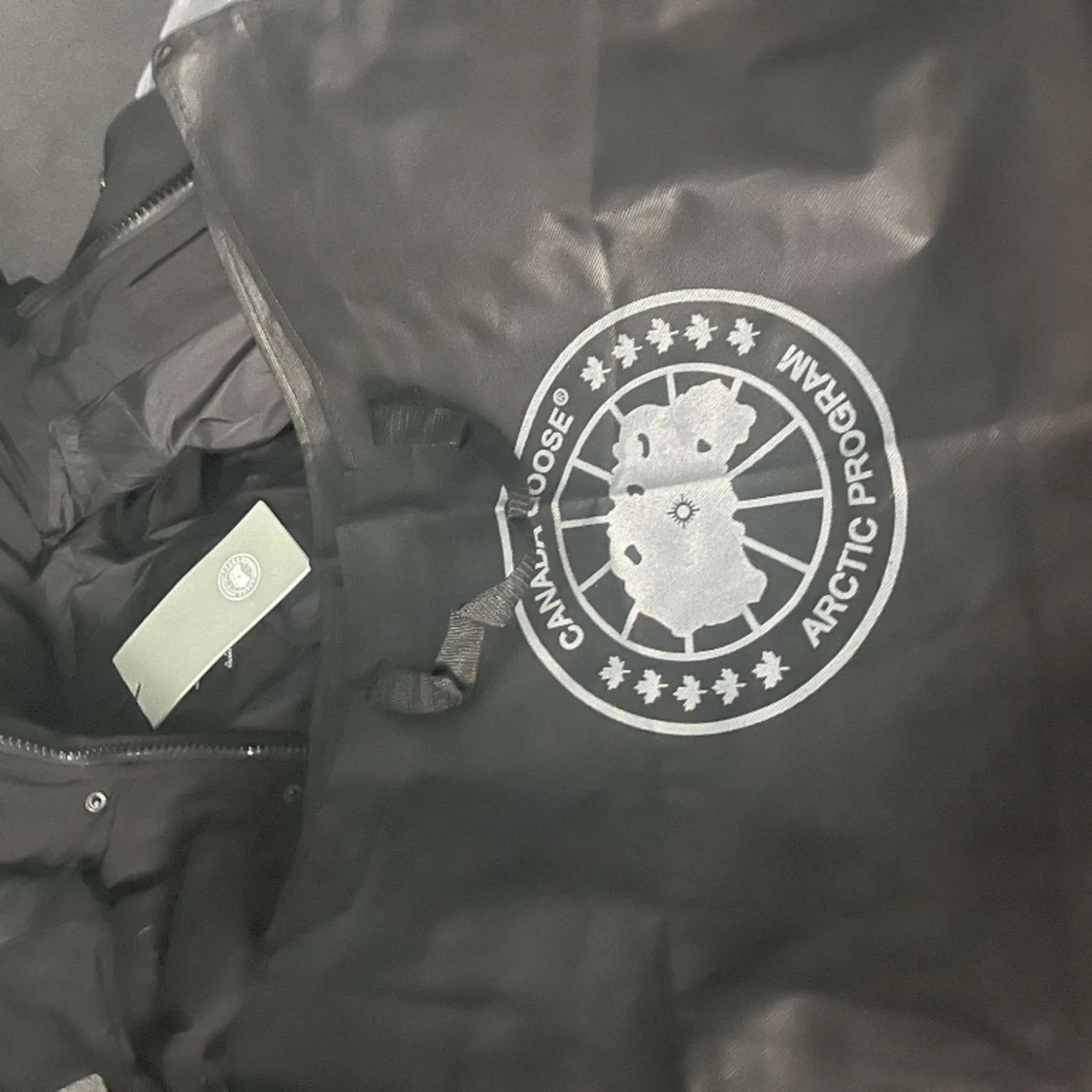 Canada goose Wyndham  - 91