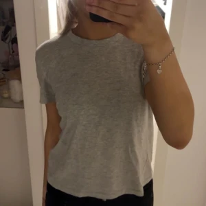 Grå och brun t-shirt  - En likadan t-shirt i både brun o grå från bikbok. Nästan aldrig använd då jag ej gillar passformen   150 föe båda eller 100 för en