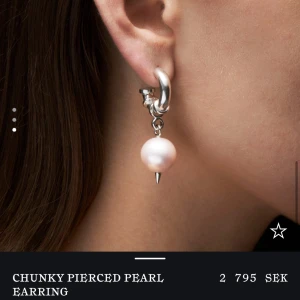 Marianillsdotter örhänge 1 st - Örhängen 