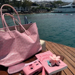 Mönster väska  - Den är köpt i Spanien och är i nyskick. Den är inte en goyard väska men är väldigt lik. Har blå och grön också 