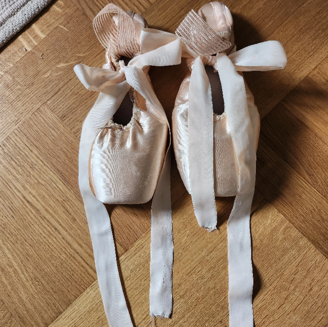 Tåspetsskor (Bloch)