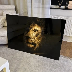 Lejon glas tavla  - Säljer min glas tavla pågrund av att den inte längre kommer till användning i hemmet. Den är fin och i ny skick, inga skador eller repor. Pris kan diskuteras vid snabb affär. 