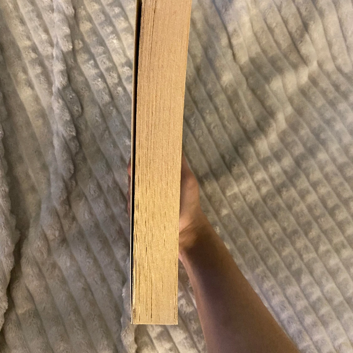 Rebel av Amy Tintera - 91