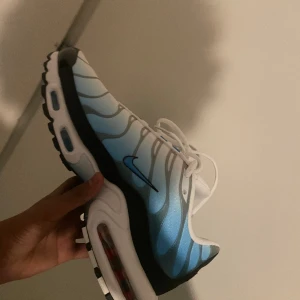 Nike tn  - Ett par helt nya skor 