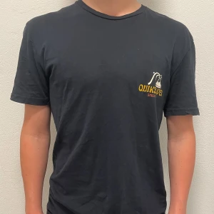 Quicksilver t-shirt - Hej Säljer denna snygga trycktröja från Quicksilver. Inga defekter och är i storlek S. Hör av er för fler bilder eller mer information. 