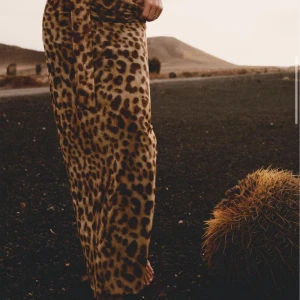 Zara kjol - Säljer supersnygg zara kjol i leopardmönster. Aldrig använd med lappen kvar😇 I storlek M men sitter som en S!