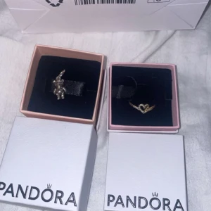 Pandora - Intressekoll på min ring och berlock nästintill nya helt äkta finns kvitto DOM KOSTAR EJ 111kr DU FÅR GE PRISFÖRSLAG 