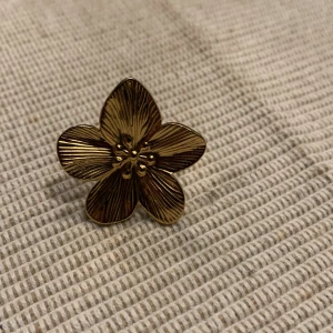 Blom ring  - Blom ring till salu. Säljer för att den inte kommer till användning. Säljer för 30kr. Ingen storlek utan den är justerbar.💗