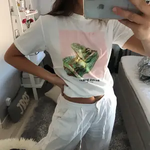 T-shirt med kameleonttryck från Pull & Bear i storlek S. Jätte skönt material:) köparen står för frakten☺️