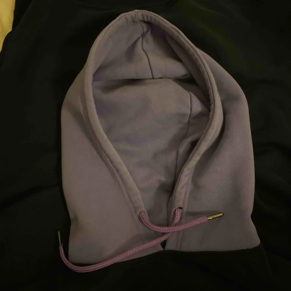 Super snygg dickies hoodie med lila hoodie  Boxig fit och passar med allt!💦. Tröjor & Koftor.