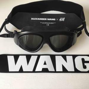 Alexander Wang X H&M Skidglasögon helt oanvända  250kr + frakt 