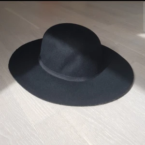  - Hat from Monki, good condition. Brim is 9cm, and it is not "floppy". Might be expensive to send because of its size .. I can meet in Täby or Tcentral =)