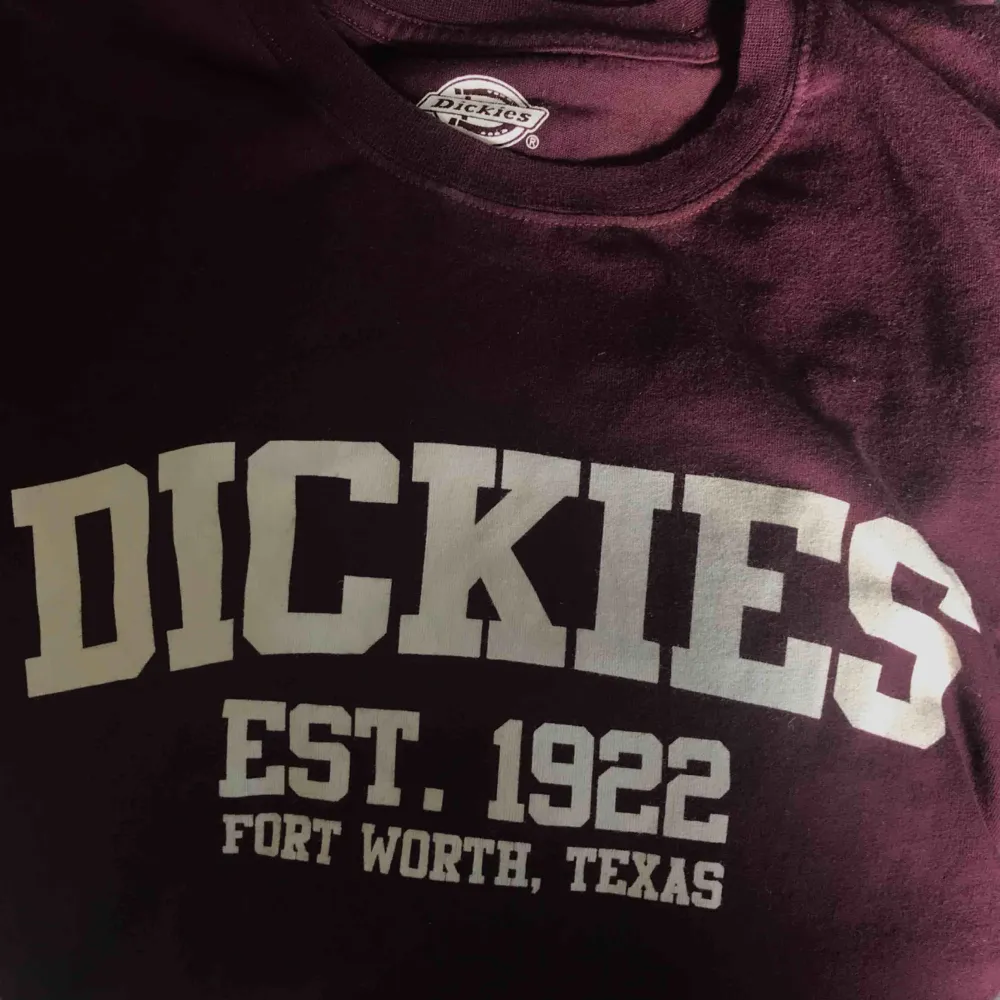 Säljer denna Dickies t-shirt, aldrig använd! . T-shirts.