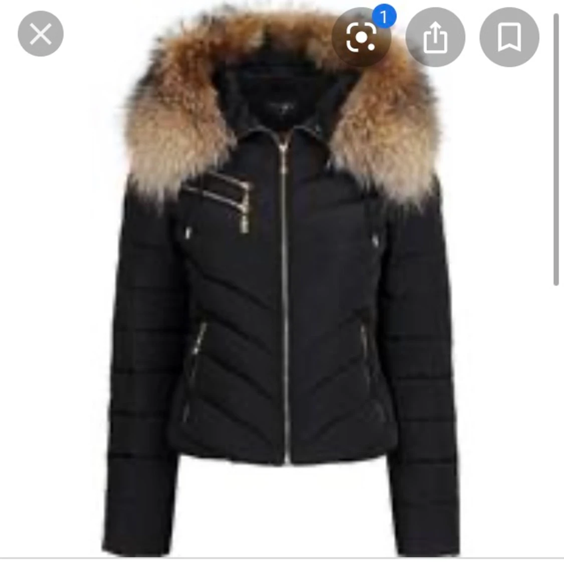 Hollies chatel gold  - 90