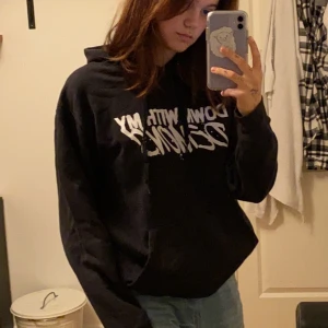 Hoodie - En svart hoodie med text på. ”Down with my demons”. Köpt från EMP, säljer pga att den köptes i fel storlek och är för liten för mig. Skönt material. 120 + frakt. 164 kr totalt