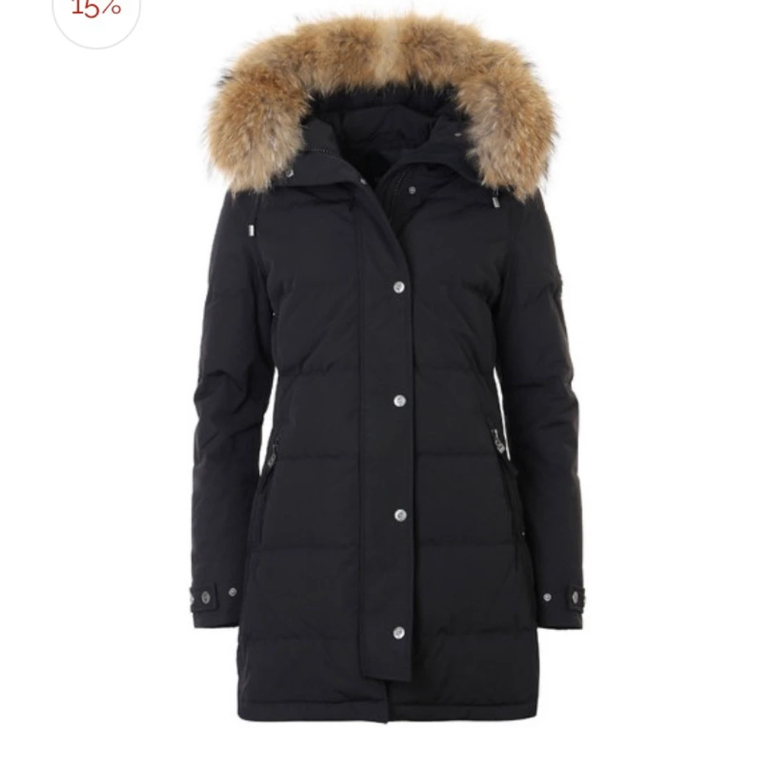 Vinter jacka (Hollis) 