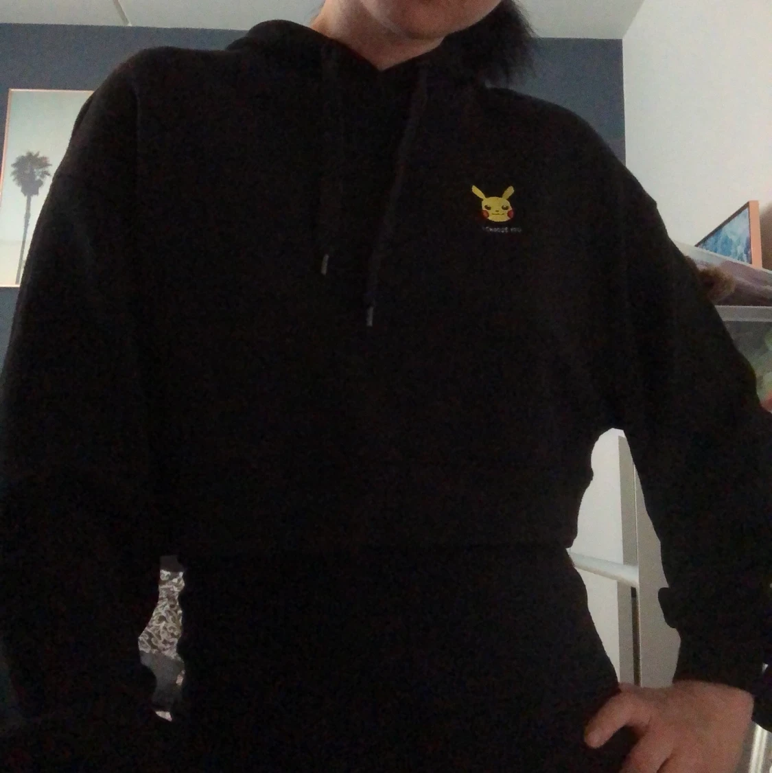 Pokémon crop hoodie 