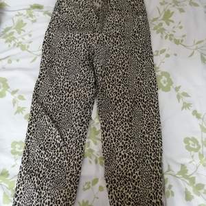 Cheetah pants, good, nice