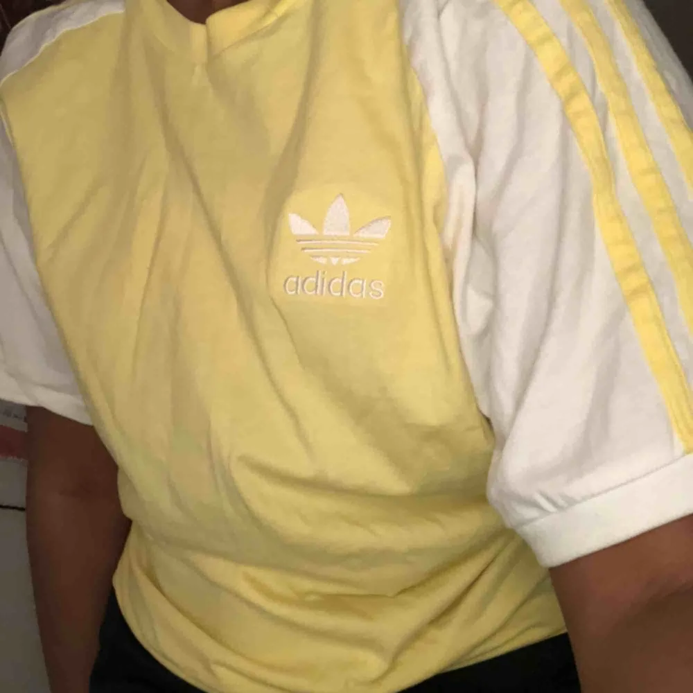 Adidas T-shirt i en så fin gul färg💛 passar XS-L. Många är intresserade så det pågår en budgivning, budet ligger på 115kr just nu, avslutas ikväll (20e) 19:00. Frakt på 59kr tillkommer . T-shirts.