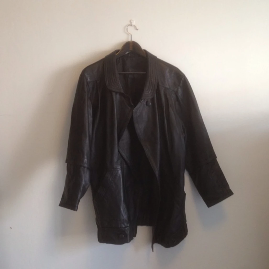 Skinnjacka från myrornas, stor i storlek. - 1393073523