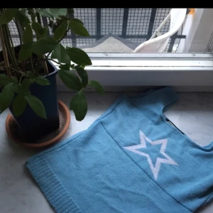  - BRITNEYLINNE med en snygg stjärna på. Blåvitt på ena sidan och vittblått på den andra! Supercoolt! 🐬🐬🐬