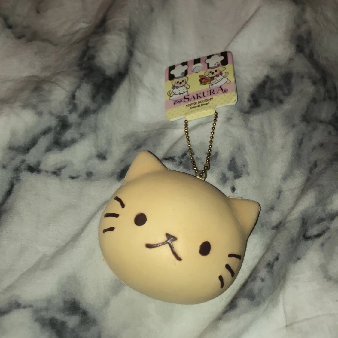 Café sakura squishy