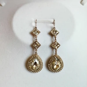 Fest örhängen  - Fest örhängen som använts enstaka gång✨😍