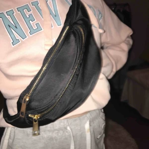  - En vanlig midjeväska som är svart o har guld dragkedjor 🥰