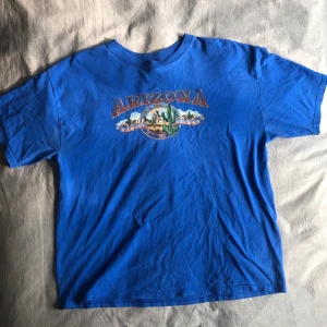 Vintage T-shirt  - Vintage T-shirt köpt på Beyond Retro, Stl XL. Bra skick för o va begagnad.🥳🤩😎 fraktkostnad tillkommer om den ska fraktas