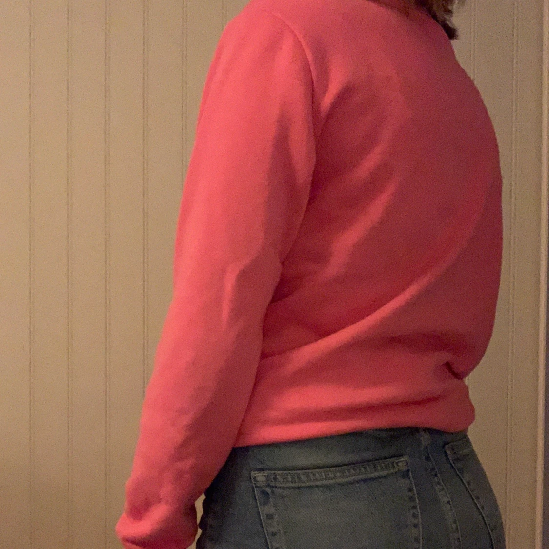  Champion sweatshirt  - 91