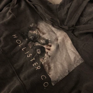 Hollister hoodie  - Hoodie från hollister, storlek XS! 💞