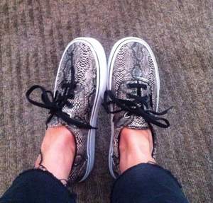 Snake skin print Vans. Surprisingly waterproof as they're not canvas. They look slick in the winter and cool in the summer and perfect the rest of the year round. 