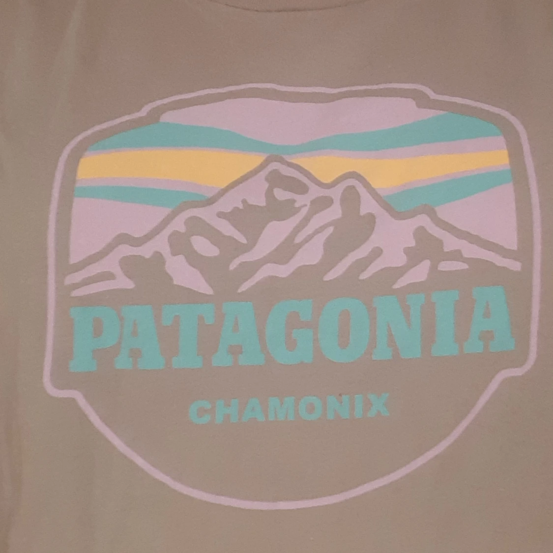 Patagonia t-shirt