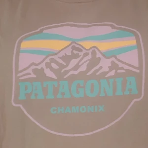 Patagonia t-shirt - Cool patagonia t-shirt i storlek M. Den är grå med lila, grönt och brandgula på dig. Färgen stämmer bäst överens med andra bilden. Hör gärna av dig vid frågor 💕 JUST NU: 3 FÖR 2 PÅ ALLT I MIN SHOP