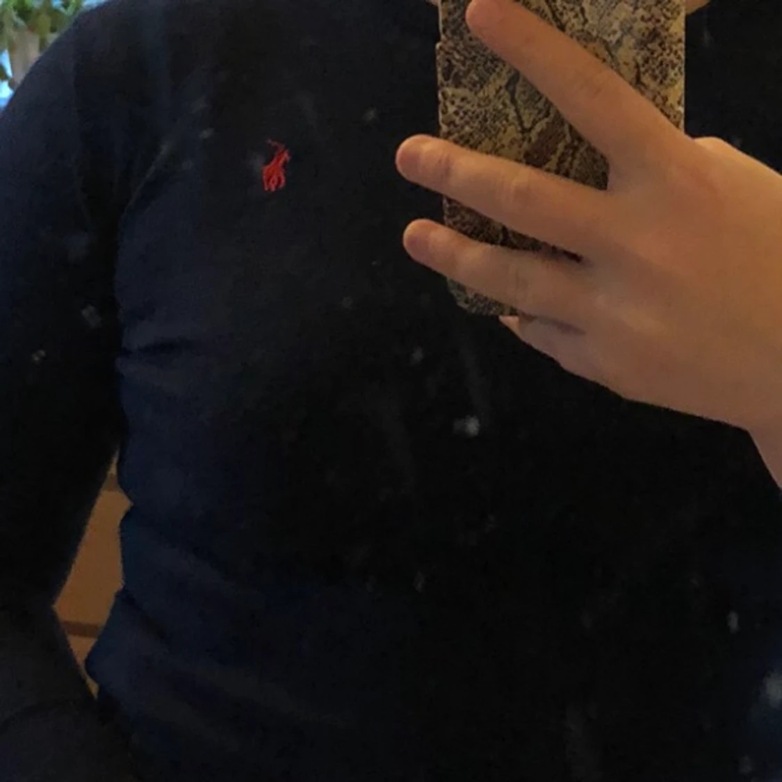 Ralph lauren tröja (blå)