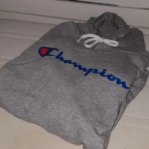  - Sjukt snygg champion hoodie abdvänd max 3 gånger 