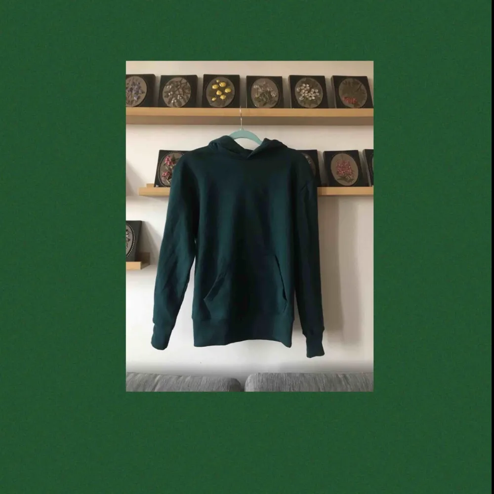 En vanlig mörkgrön hoodie från Primark! Köpte den men märkte sedan att den var lite för liten för min smak, så den är inte använd alls:) Frakten ingår i priset💞💞. Hoodies.