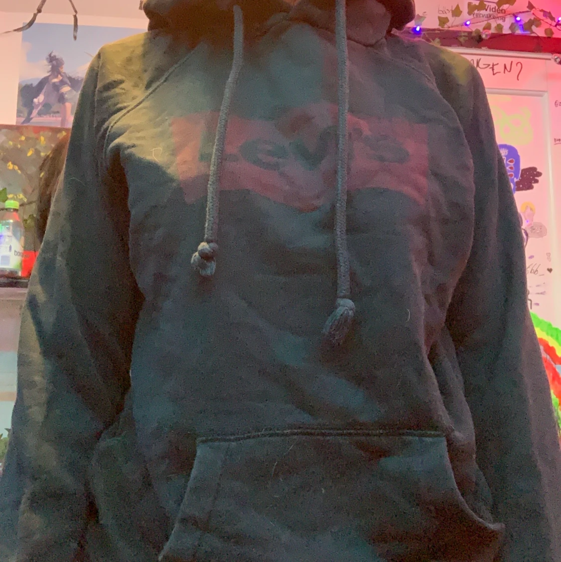 Levis hoodie