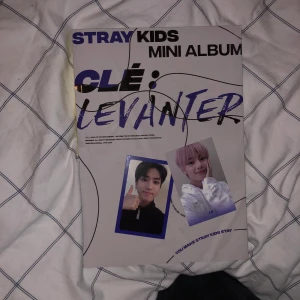 Stray Kids album  - Stray kids album!! Köpte den för 300 men säljer den för 150. Kan mötas upp i Malmö eller Lund. Tar emot swish endast!