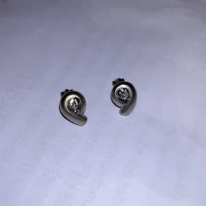 Silver örhängen  - Tror dem är silverpläterade. Använda 1 gång. Örhängen sätter man in med en klipps alltså fungerar de även till folk som inte har hål i örat