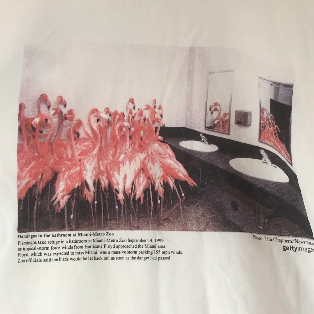 T-shirt från weekday med flamingos på toalett! Köptes förra året och har endast används ett par gånger! Storlek S men är oversized.. T-shirts.