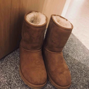  - Äkta uggs som är i väldigt fint skick! Det är storlek 34 men dom är ganska stora i storleken så skulle säga att det är mer en 36a! Fraktar mot avgift! 