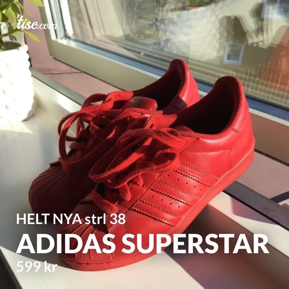 Oanvända, i topp skick. Röda Adidas Superstar Strl 38   🌈Hämtas hos mig vid Lundy Gamla Kyrka 💌Frakt 70kr 🍾Finns på flertal fler sidor så passa på! . Skor.