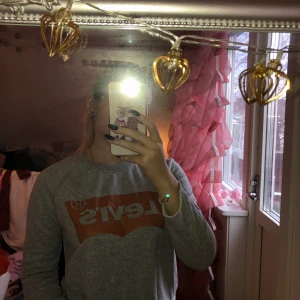 Levis tröja - Jag säljer en grå levis tröja, med röd/guldig glittrig logga. 